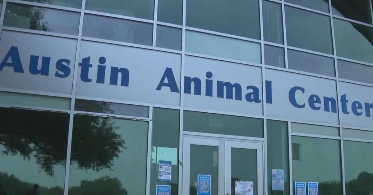 Austin Animal Services goes 10 days without AC; temporary measures in place