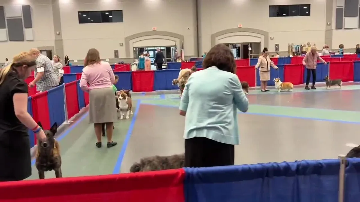 UKC Dog Show brings over 300 competitors to Longview