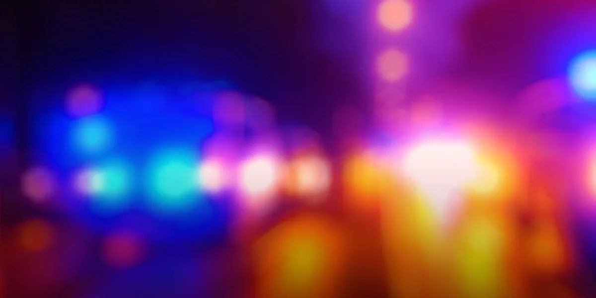 21-year-old killed after crashing into truck hauling cattle, troopers say