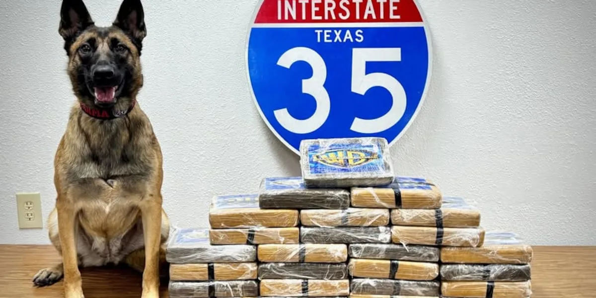 K-9 Karma sniffs out cocaine during traffic stop on I-35 in Hill County