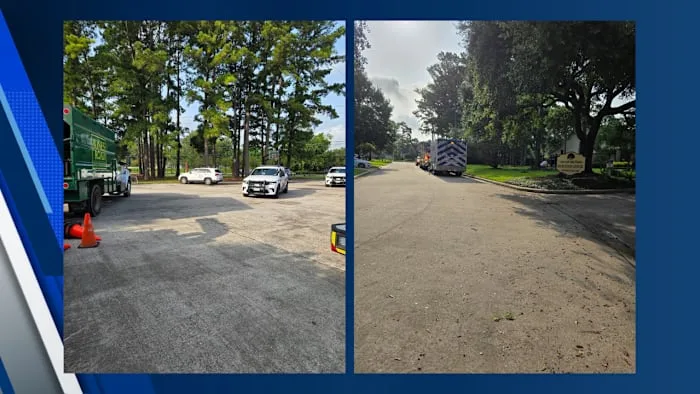 Man 'electrocuted' after tree branch reportedly hits power line in Cypress, Precinct 4 says