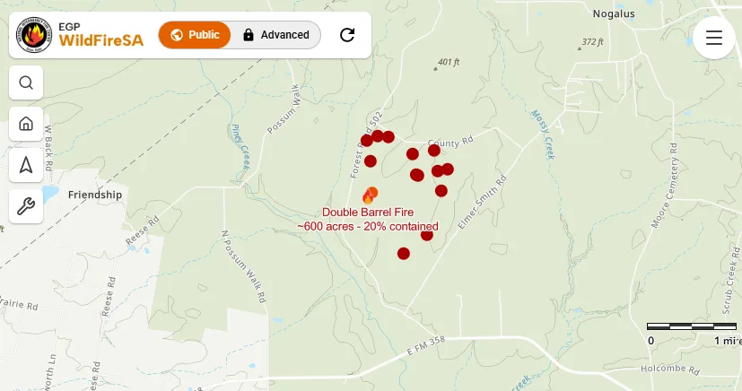 Wildfire burns 600 acres of Davy Crockett National Forest