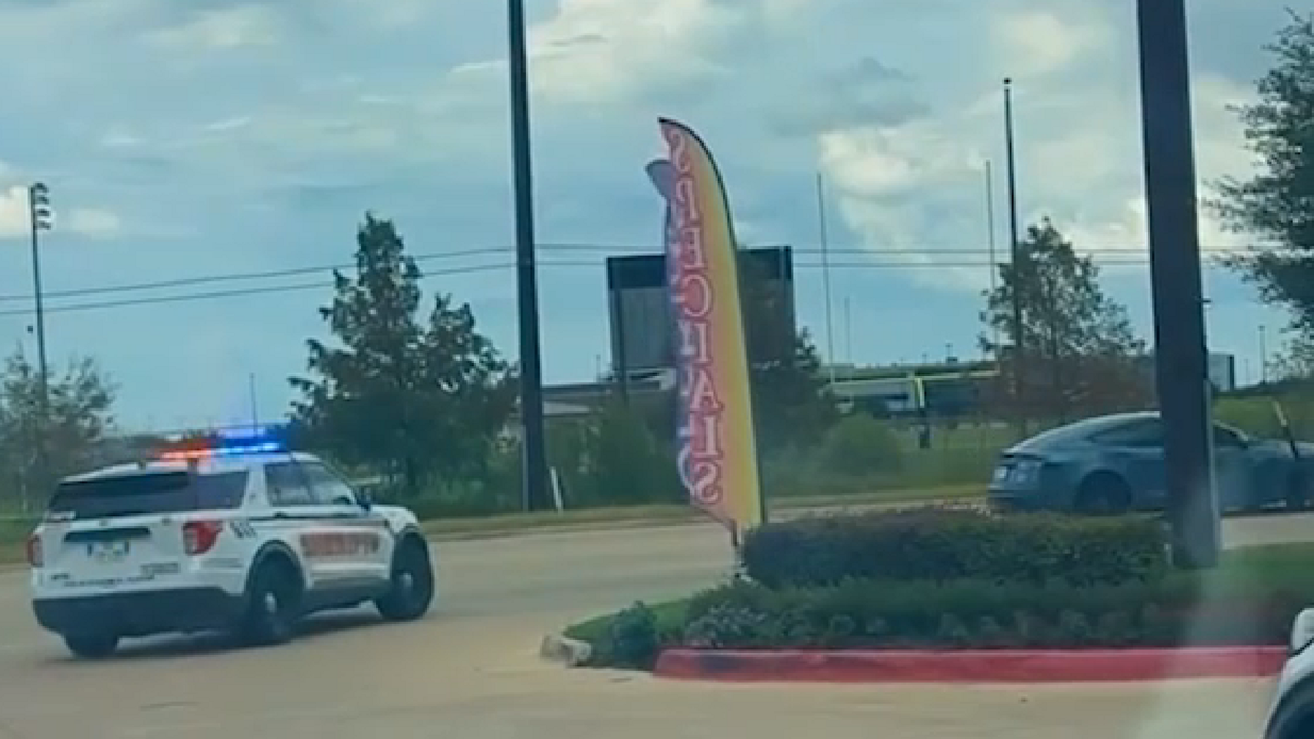 6 tickets written in 2 days after mother records drivers ignoring school bus stop, HCSO says