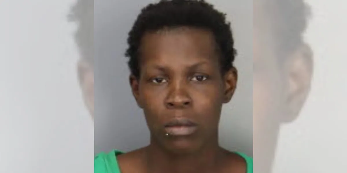 Toddlers nearly hit by car lead police to home with unresponsive infants, toddler with bleach bottle