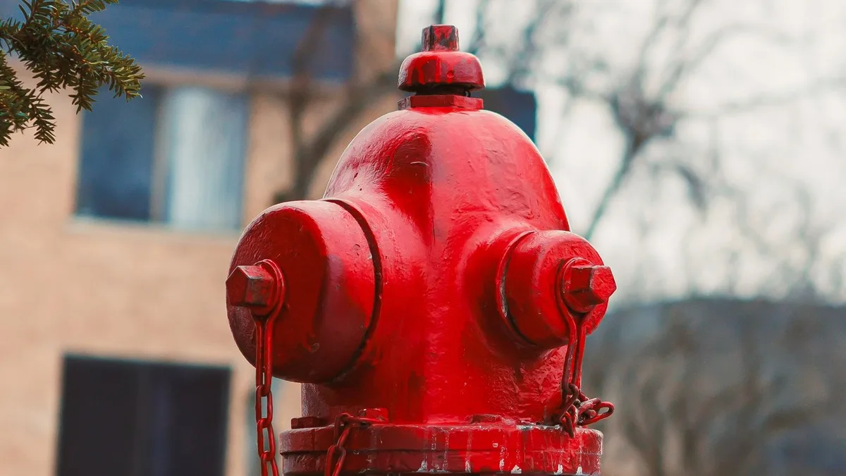 Health screenings, fire hydrant maintenance, new radio program among reported WFD needs for new fiscal year