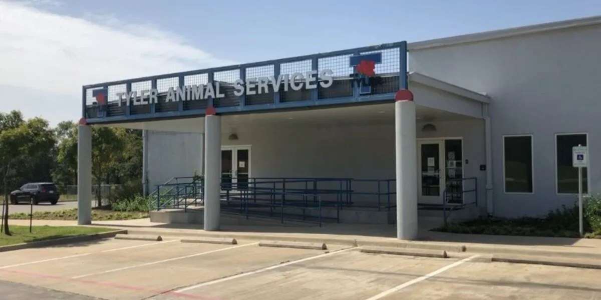 Tyler animal shelter offering no-cost adoptions with donations for month of August