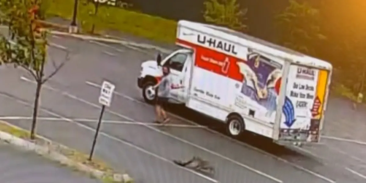 Mystery animal attacks at least 3 times. Here's what witnesses think it is