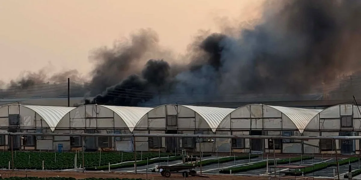 WATCH: Smoke billows after flames engulf plant nursery building in Cherokee County