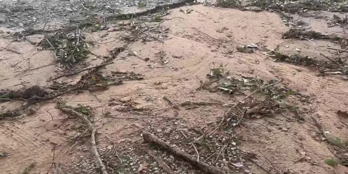 Polk County rallies to assess damage, provide aid after Tropical Depression Edouard