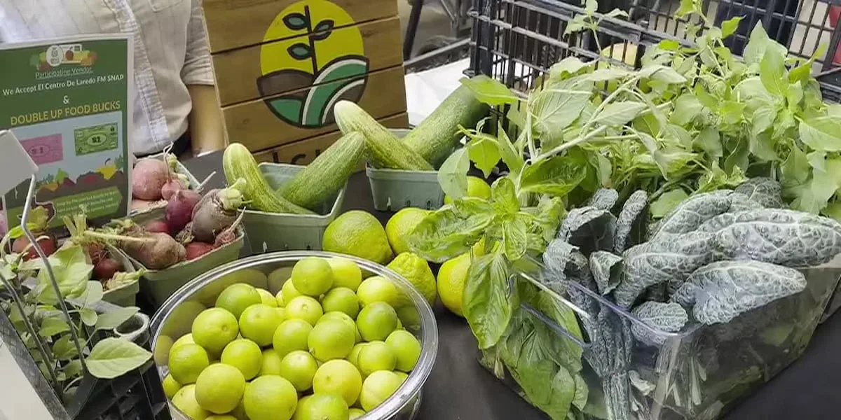 Fourth annual Veggie Fiesta brings food, fitness to Outlet Shoppes at Laredo