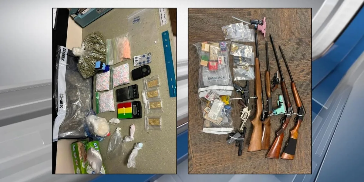 Sheriff: Nearly 46 pounds of drugs seized in long-term Houston County investigation