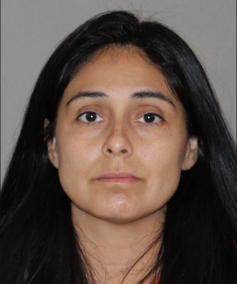 Northlake mother held on $2M bond after alleged stabbing of husband, 2 children