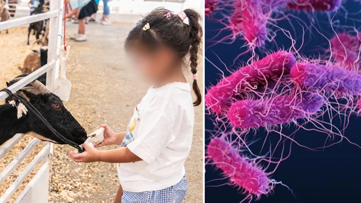 Dallas health officials investigating if E. coli cases linked to State Fair of Texas petting zoo