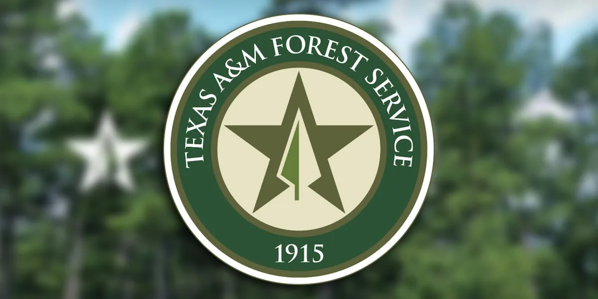 Texas A&M Forest Service buys 2 helicopters to launch wildfire aircraft fleet