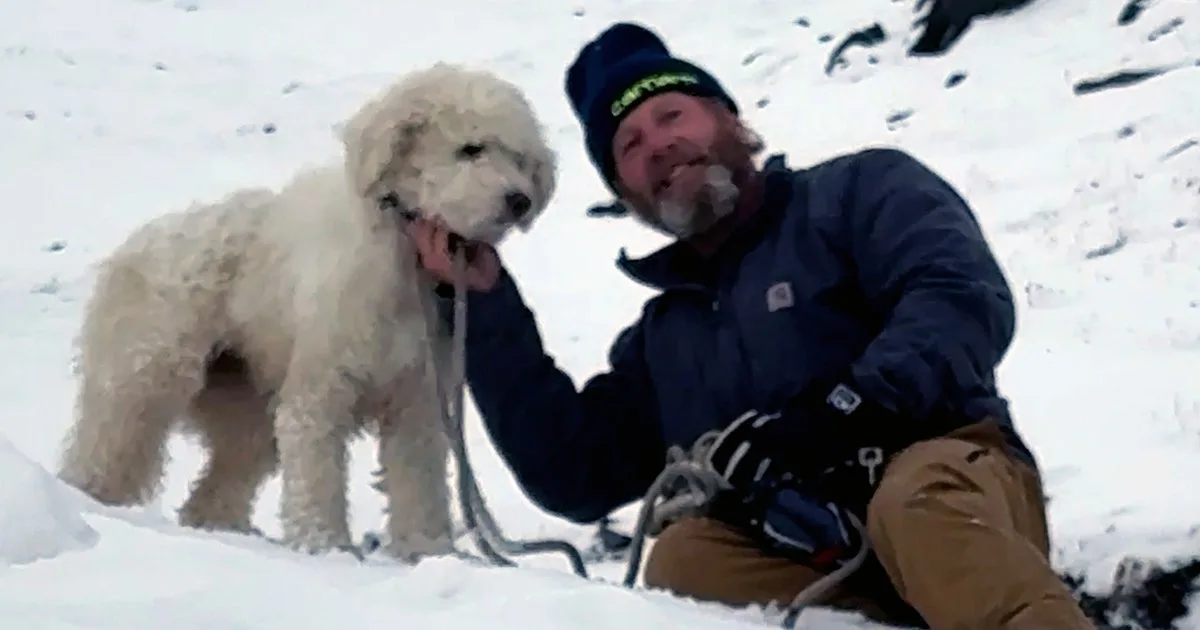 Watch: Dog lost in Alaska avalanche miraculously found 2 days later