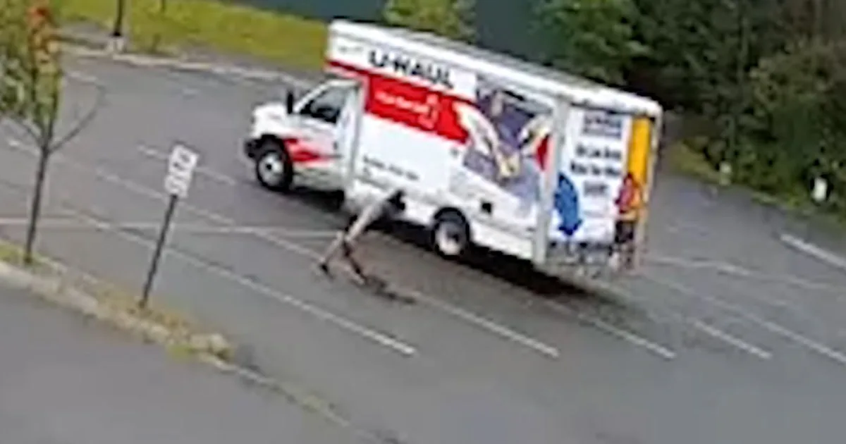 Watch: Mystery animal attacks man in New Hampshire parking lot