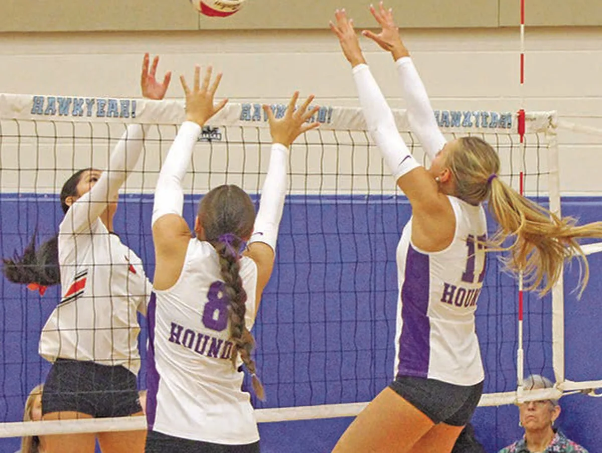 Lady Hounds pound Providence in straight sets