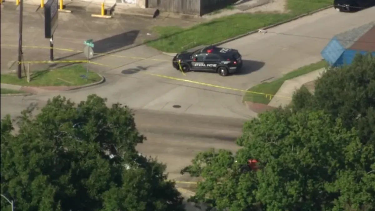 Pedestrian hit and killed on Moline Street in southeast Houston, HPD says