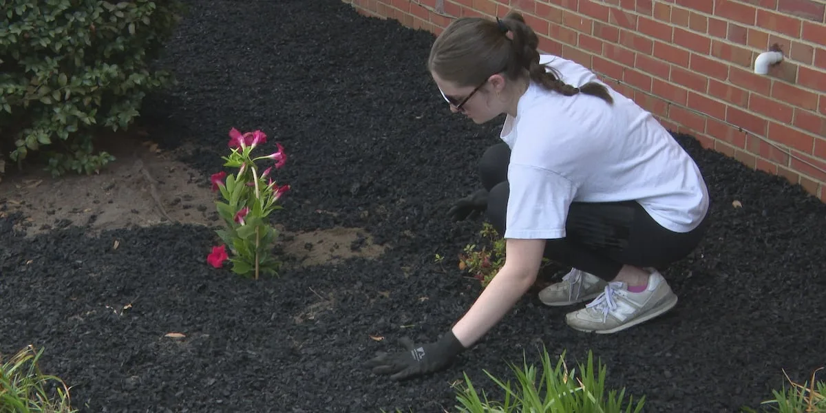 Should you use landscape fabric?