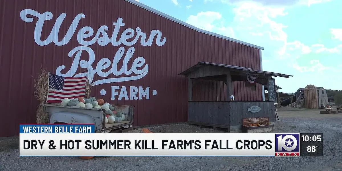 Central Texas farm loses entire pumpkin crop after brutal summer, but fall fun continues