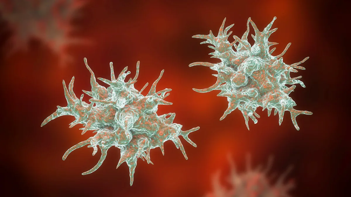 Louisiana health officials warn about rare amoeba infections after certain tap water use