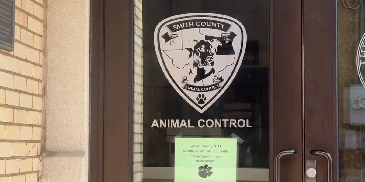 2nd skunk tests positive for rabies in Smith County, officials say