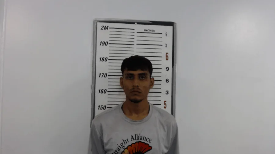 Man who smuggled meth for his mother sentenced to nearly 5 years in prison