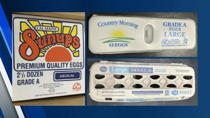 Nearly 1.6M eggs recalled in Texas and nearby states over possible salmonella contamination