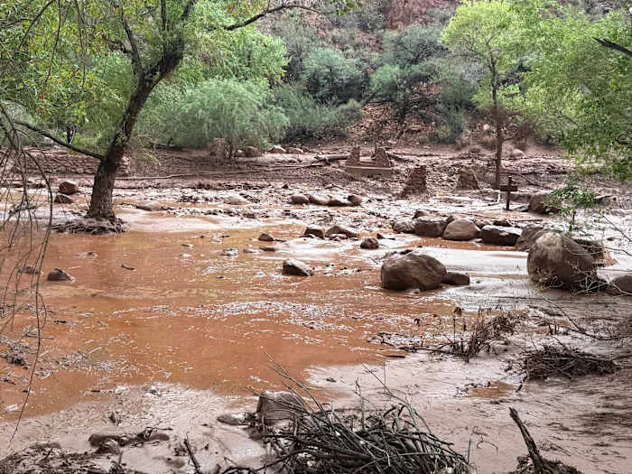 Dozens evacuated from Grand Canyon after flash flood hits creek leading to the Colorado River