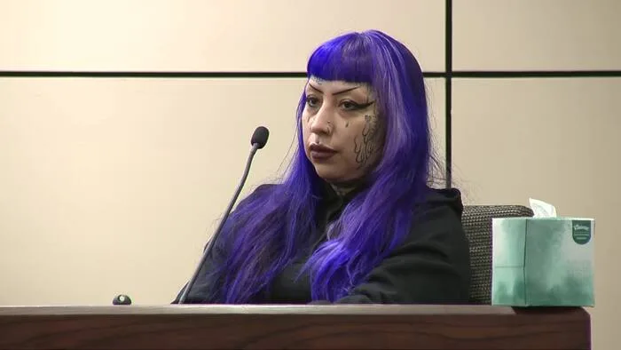 Records: Woman accused of helping in son's planned mass violence attack has charge dropped due to insufficient evidence