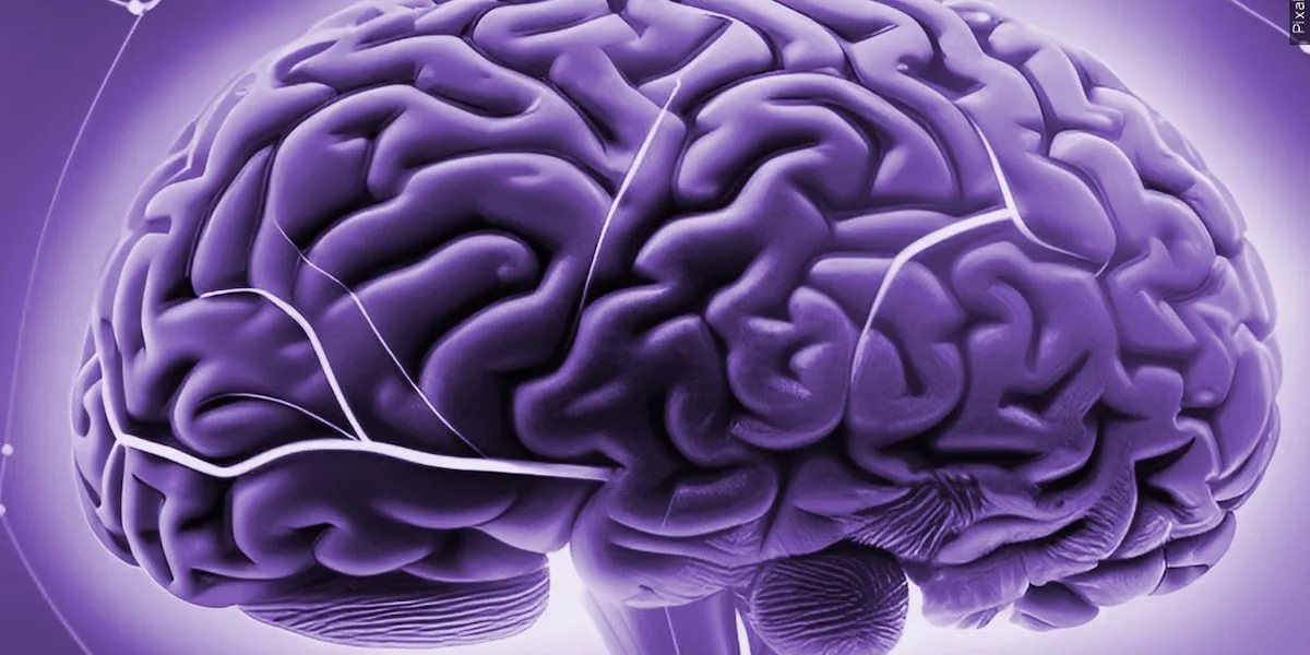 Doctors hopeful new imaging technology could allow CTE diagnosis in living patients