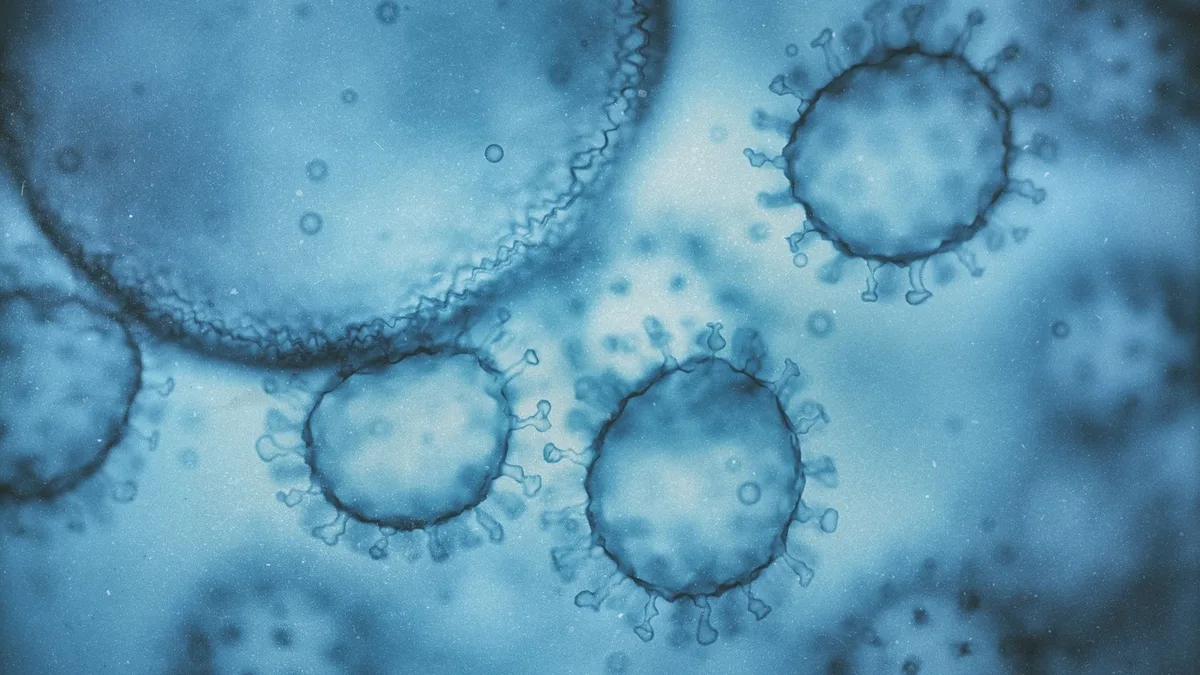 Nearly 100 cases of norovirus reported at Kansas elementary school, officials say