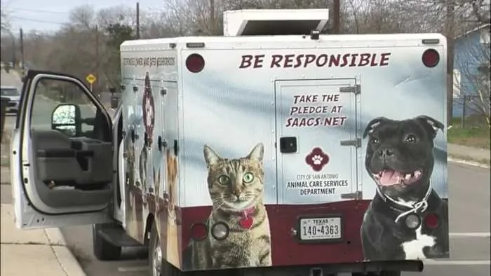 3 animals found dead inside vehicle at downtown parking lot, ACS says
