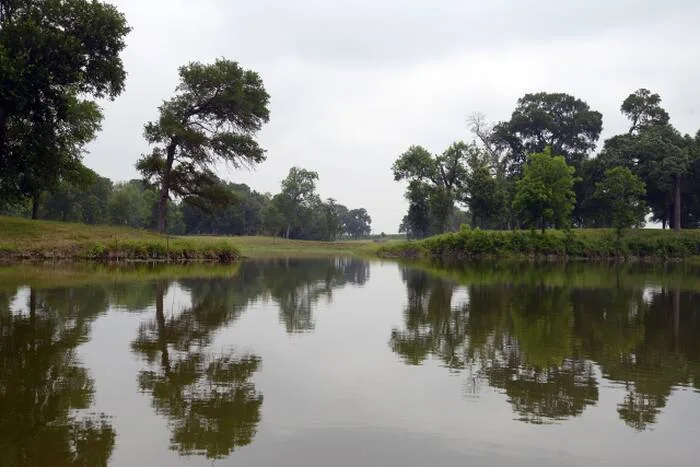 Institute launches in East Texas to address the region and state's largest water challenges