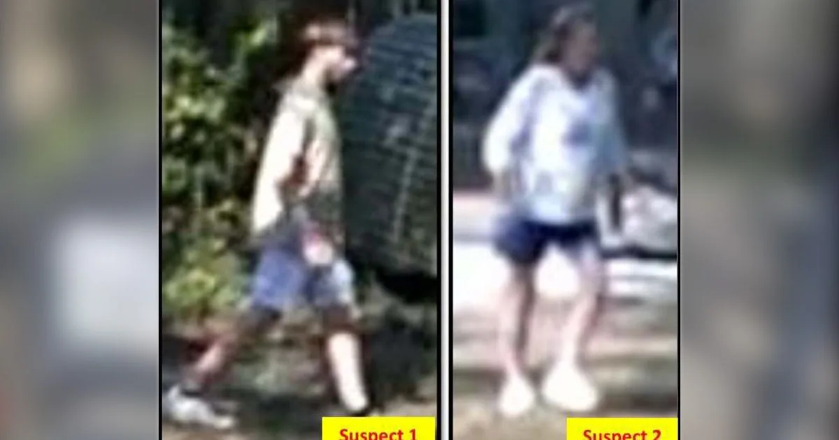 Hays Co. Sheriff's Office searching for suspects who stole trailer in Wimberley