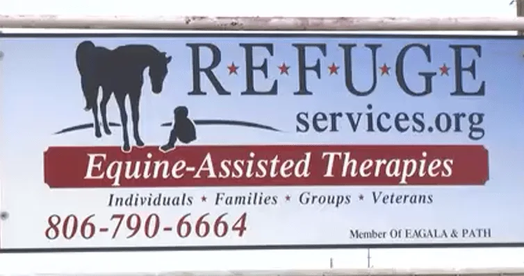 Lubbock nonprofit uses horses to help people heal through therapy