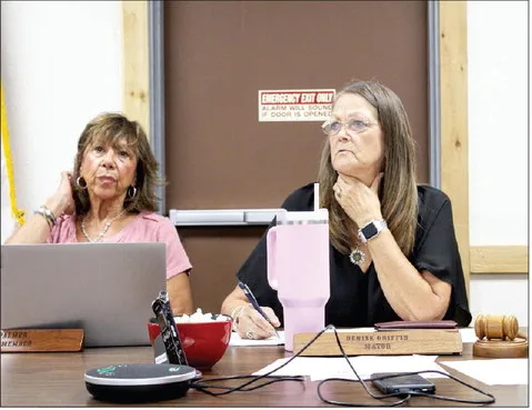 Council reviews resiliency plan, permit fee changes