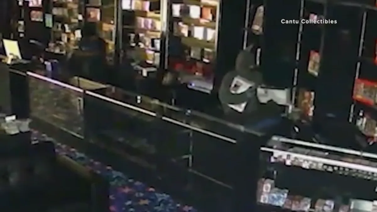 2 men arrested after breaking into a business and stealing Pokmon cards, Webster police say