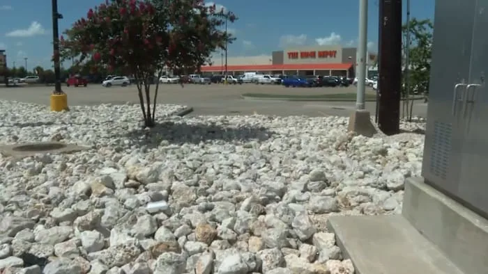 Houston community groups question whether Home Depot worked with ICE during recent detention
