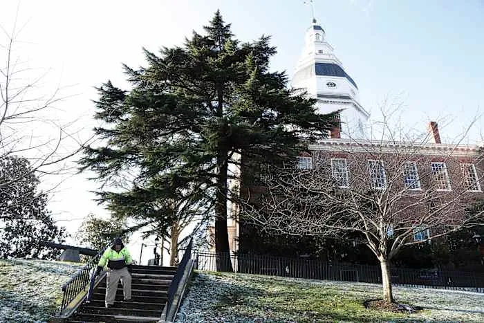 Maryland's top court allows Democratic-backed congressional redistricting measure on November ballot