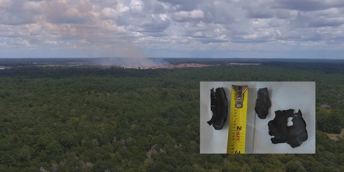 Ash from Terafab land clearing reaches nearby Iola property