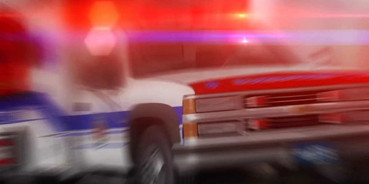 61-year-old killed when part of a tree falls on top of him, officials say