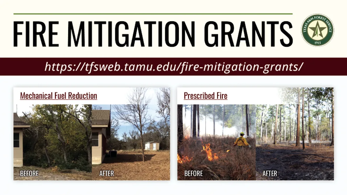 Texas A&M Forest Service awards over $450,000 in Community Wildfire Risk Reduction Grants