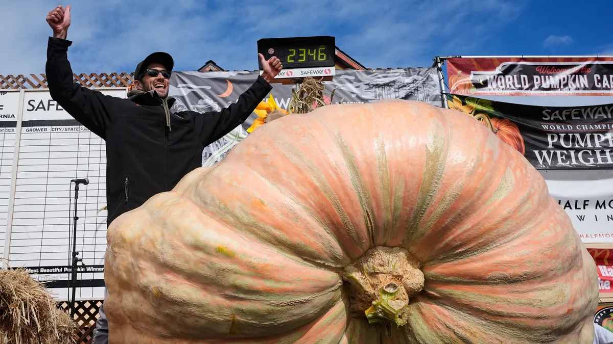 Giant pumpkins battle for heavyweight glory and the world record in California