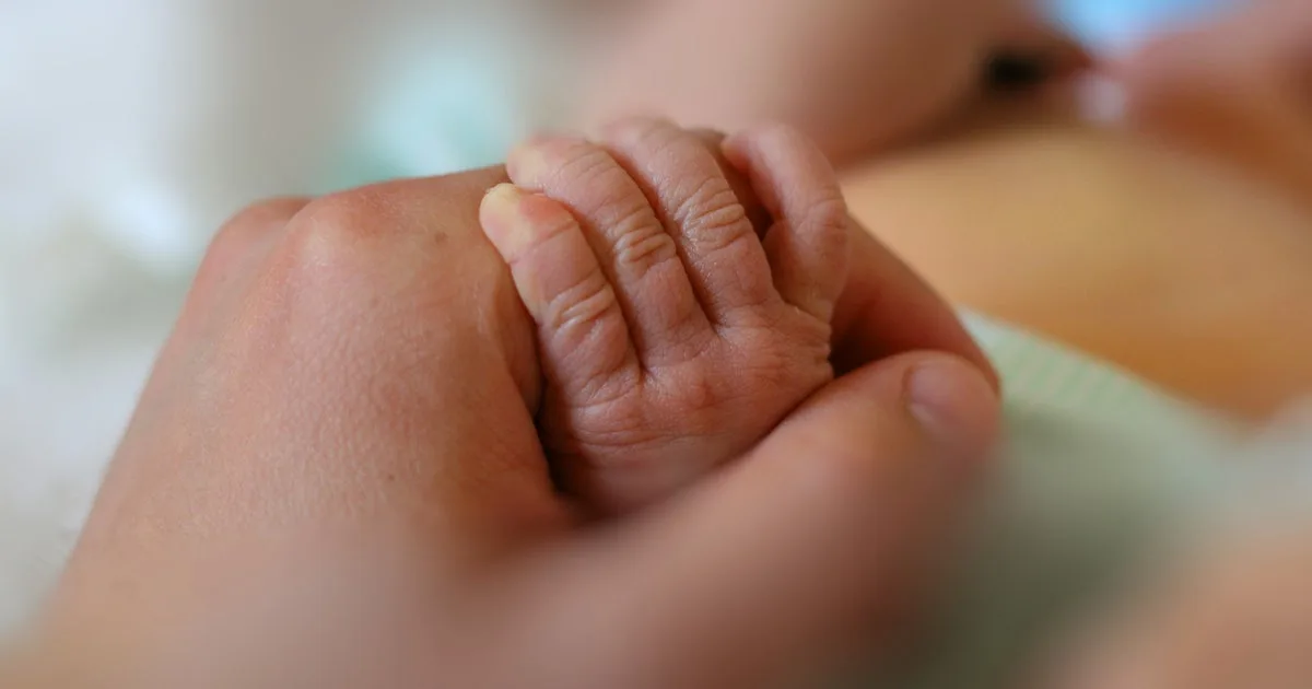 After a baby was found dead in a Fort Worth dumpster, officials promote "safe haven" baby boxes