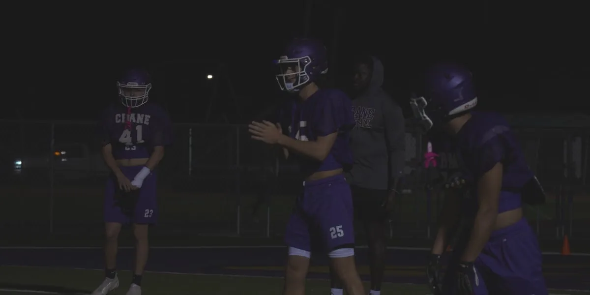 PIGSKIN PREVIEW: Crane Golden Cranes