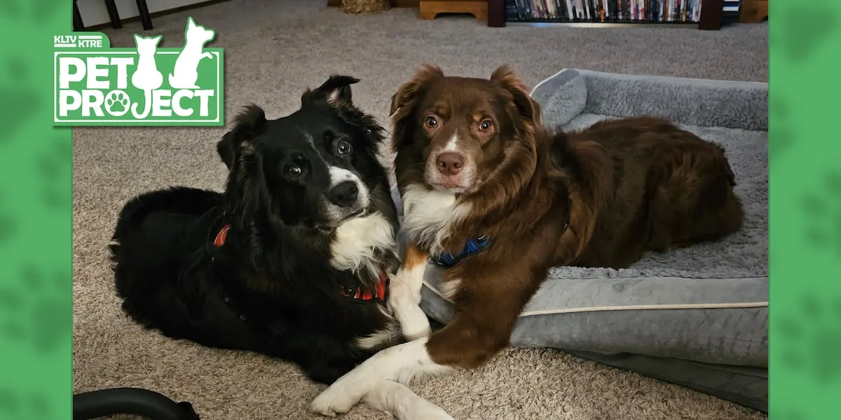 East Texans share photos of their beloved dogs for National Dog Day 2026!