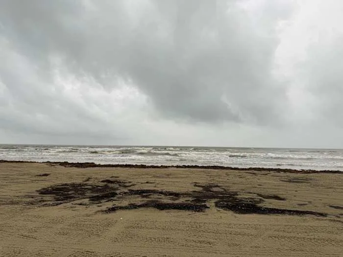 Life jacket donation program launches at Surfside Beach after child's drowning