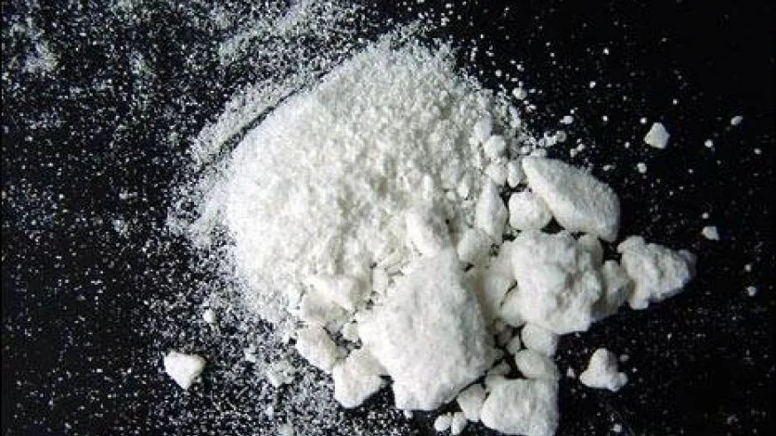 Serbian national sentenced to 17 years for international cocaine trafficking