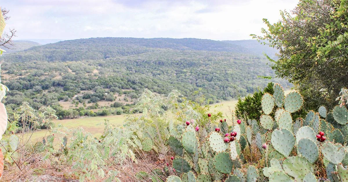 Comal County's Morton Preserve open to public for 2026 season